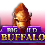 big wild buffalo slot logo